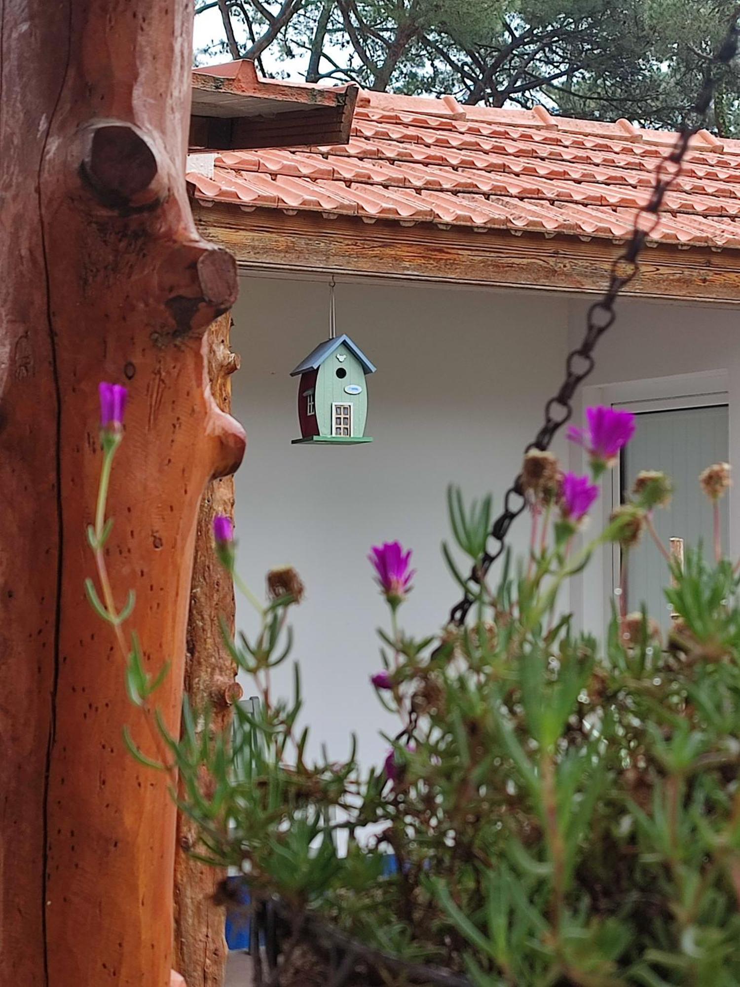 Casinha Do Pinhal Villa Colares Eksteriør bilde